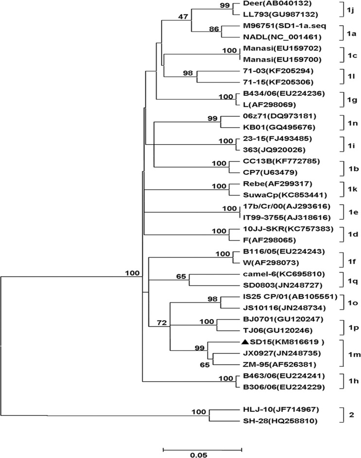 Fig 2