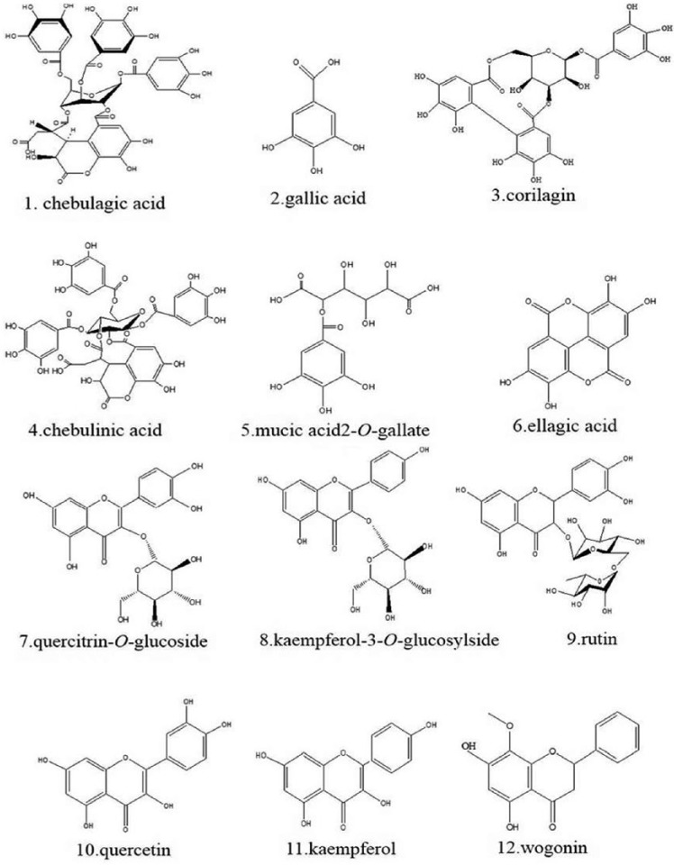 Figure 2.