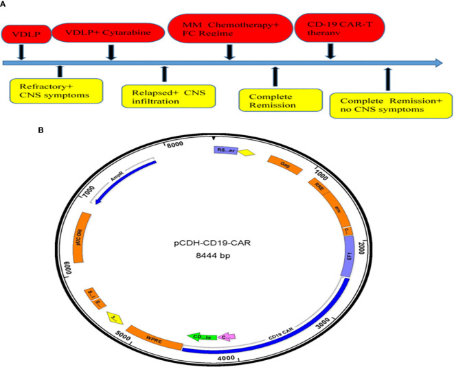 Figure 1