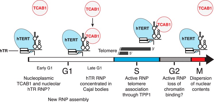 FIGURE 12.