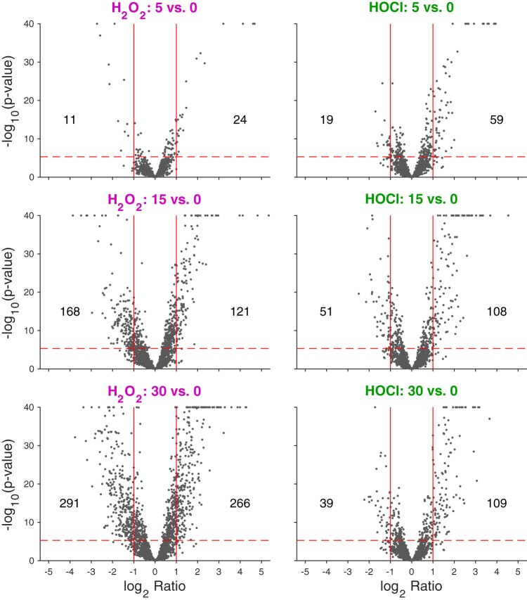 FIG 2