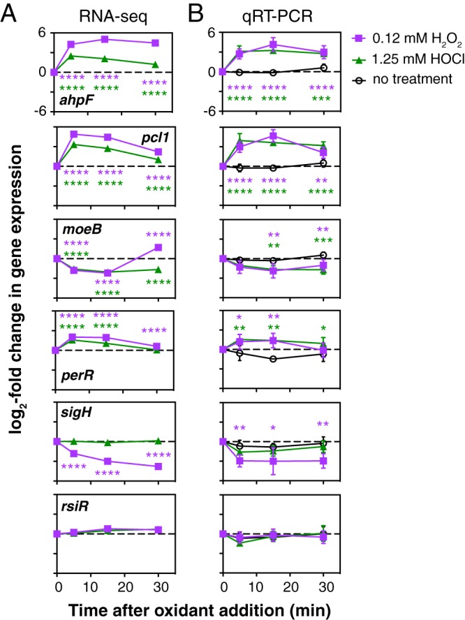 FIG 3