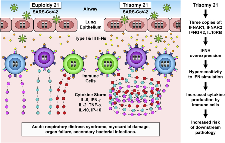 Figure 3