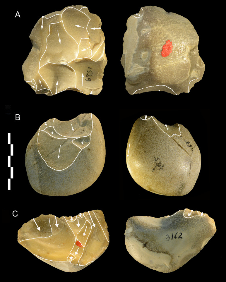 Fig 19