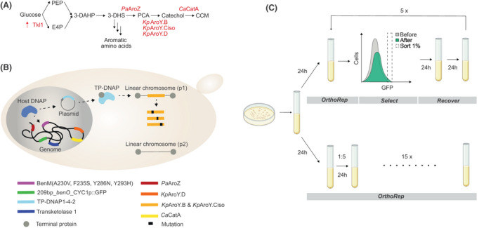 Fig. 1