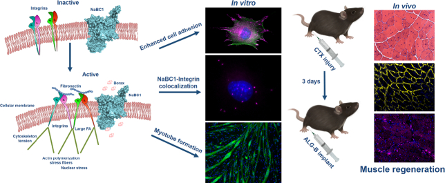 Unlabelled Image