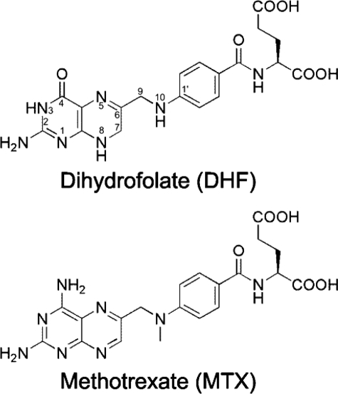 FIGURE 1.