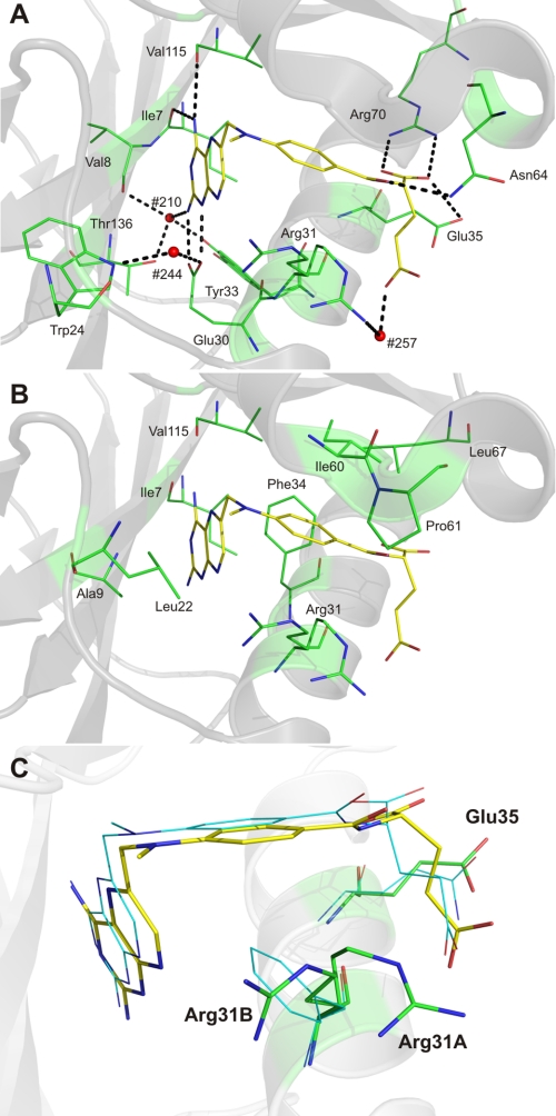 FIGURE 4.