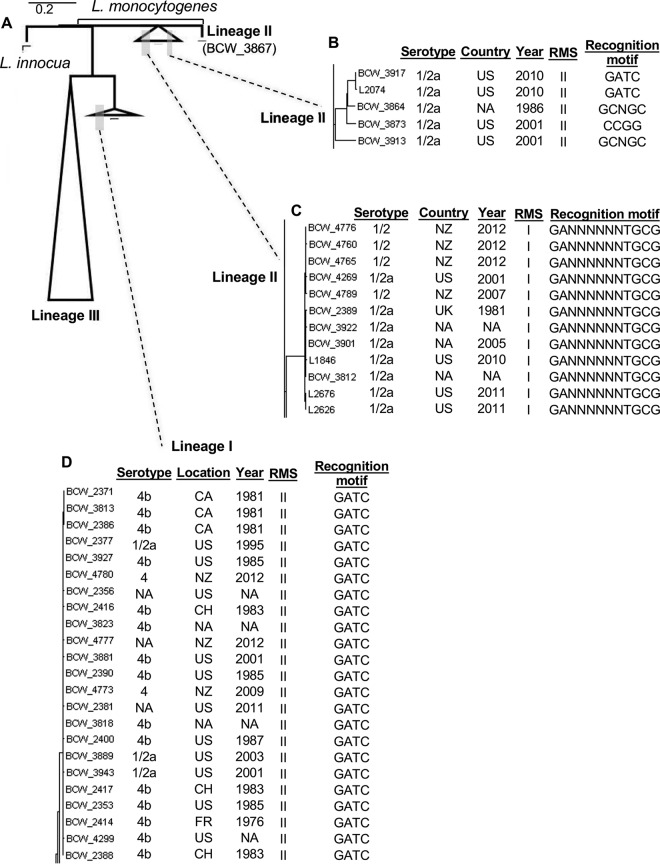 FIG 1