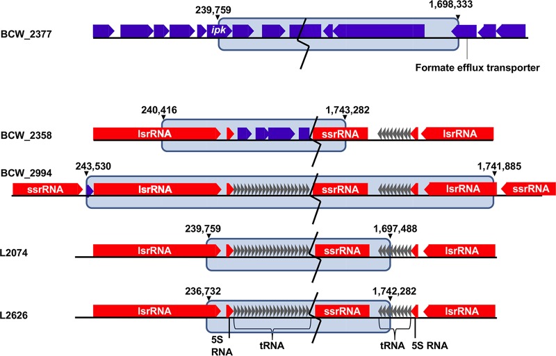 FIG 3