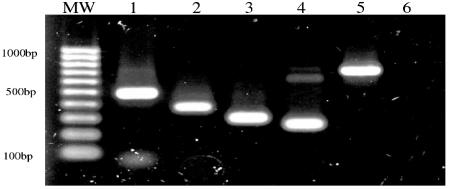 FIG. 6.