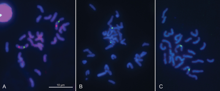 Figure 3.