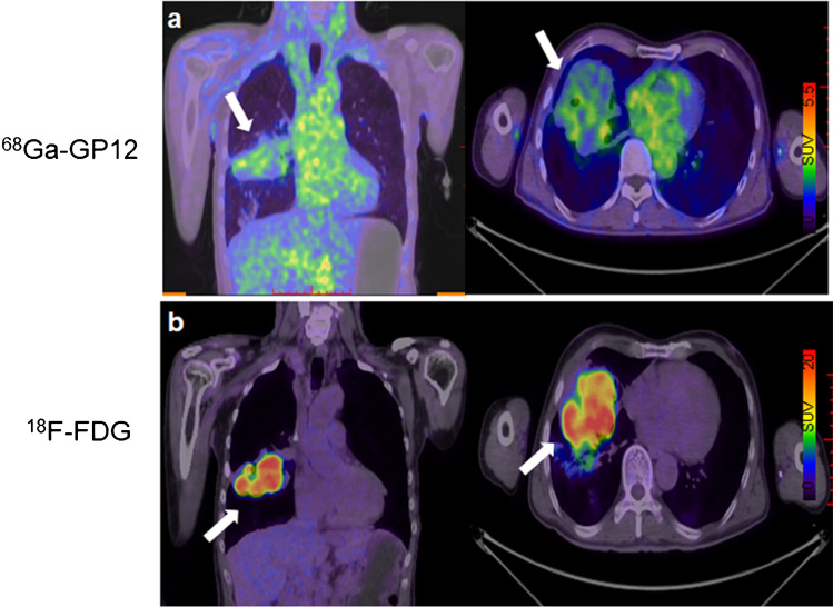 Fig. 7