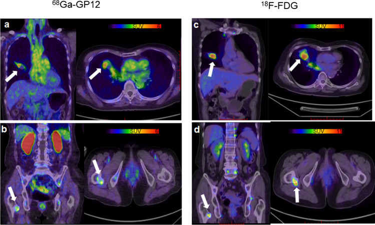 Fig. 6