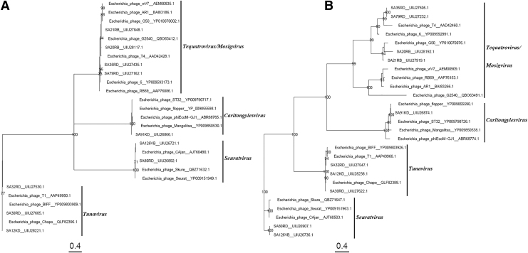 FIG. 2.