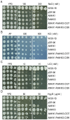 Figure 6