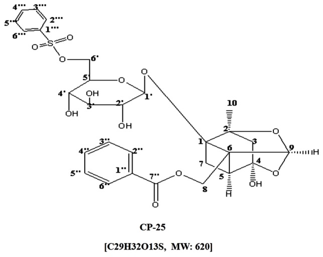 FIGURE 1