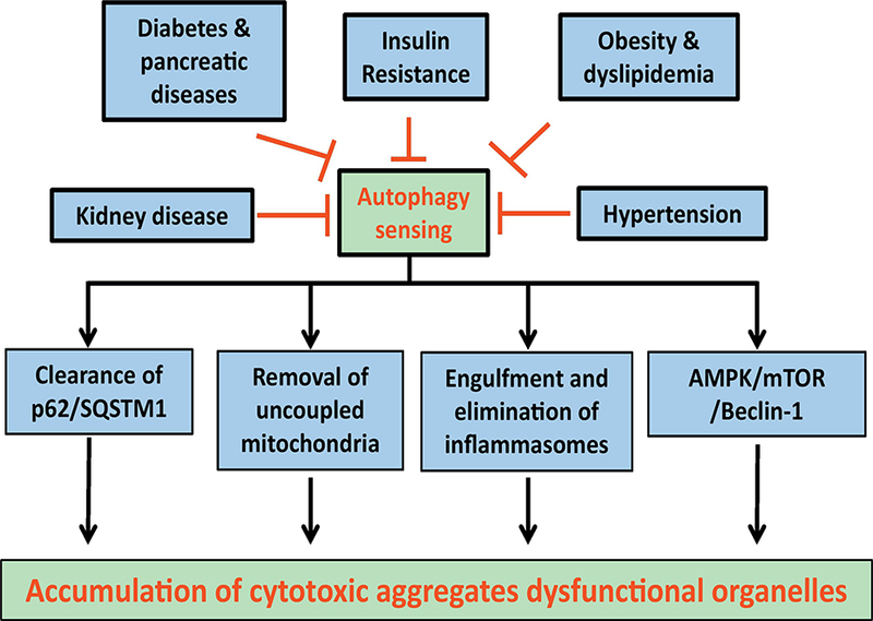 Figure 4: