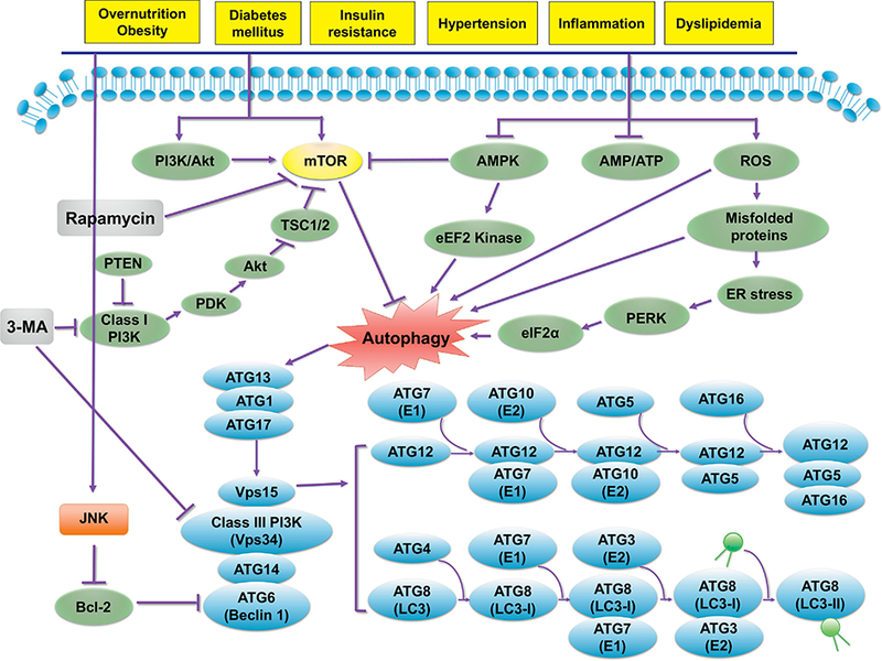 Figure 3: