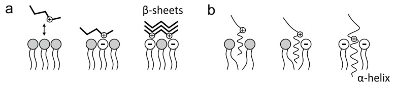 Scheme 3