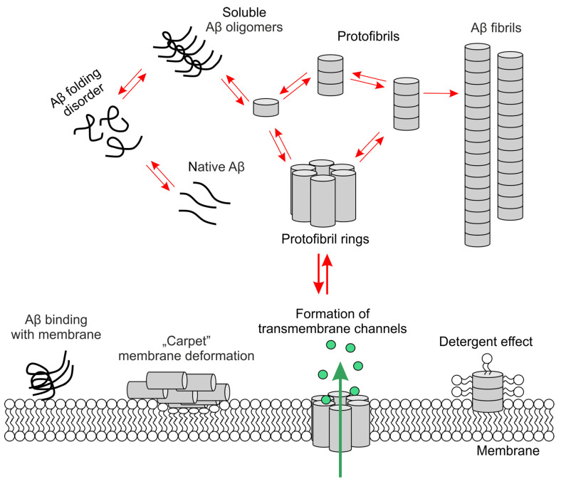 Scheme 4