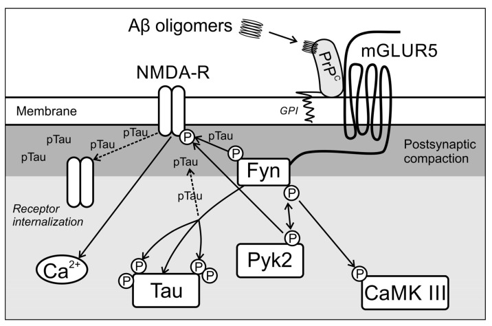 Scheme 6