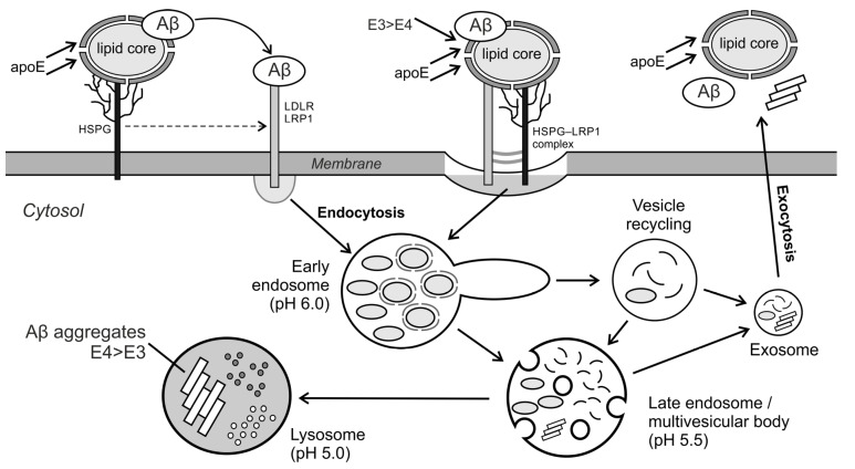 Scheme 5