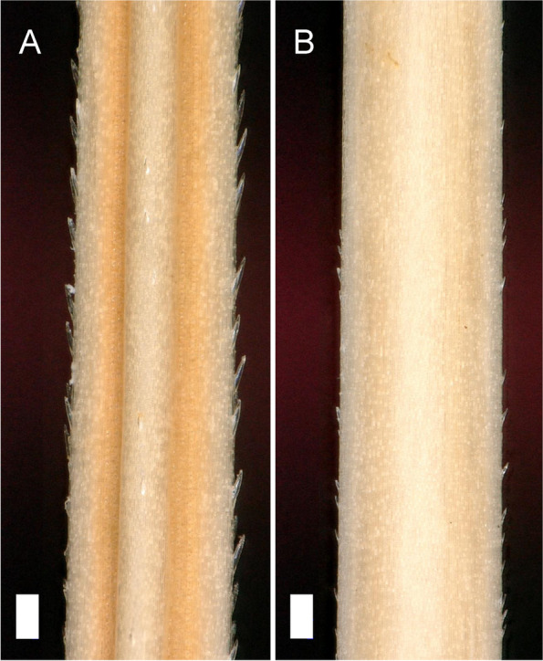 Fig. 14