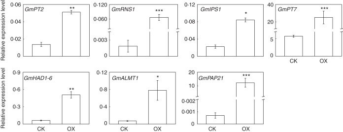 Fig. 7.