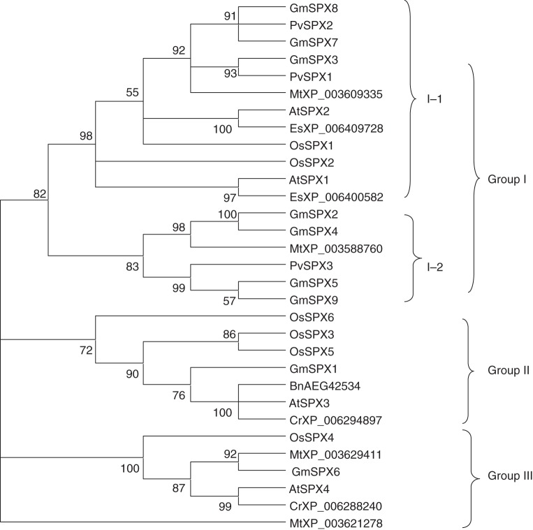 Fig. 1.