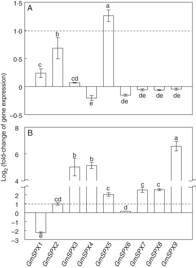 Fig. 5.