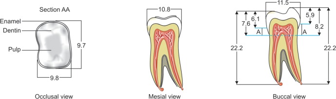 Fig. 1: