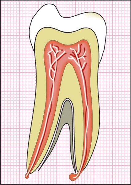 Fig. 2: