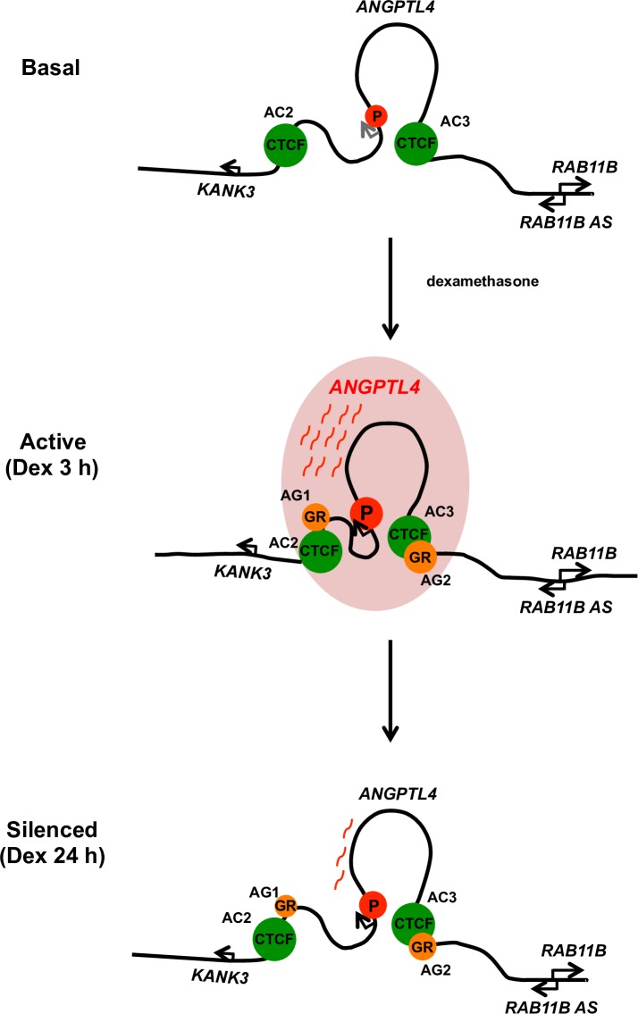 Fig 6