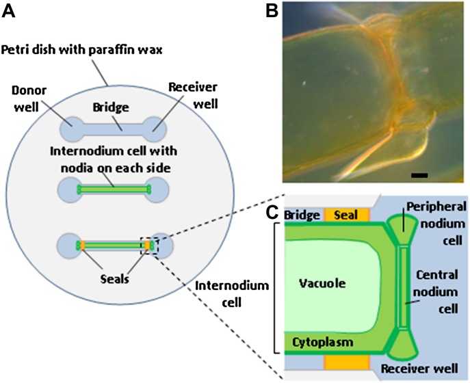 Fig. 2.