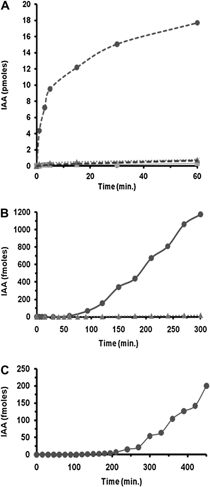 Fig. 3.