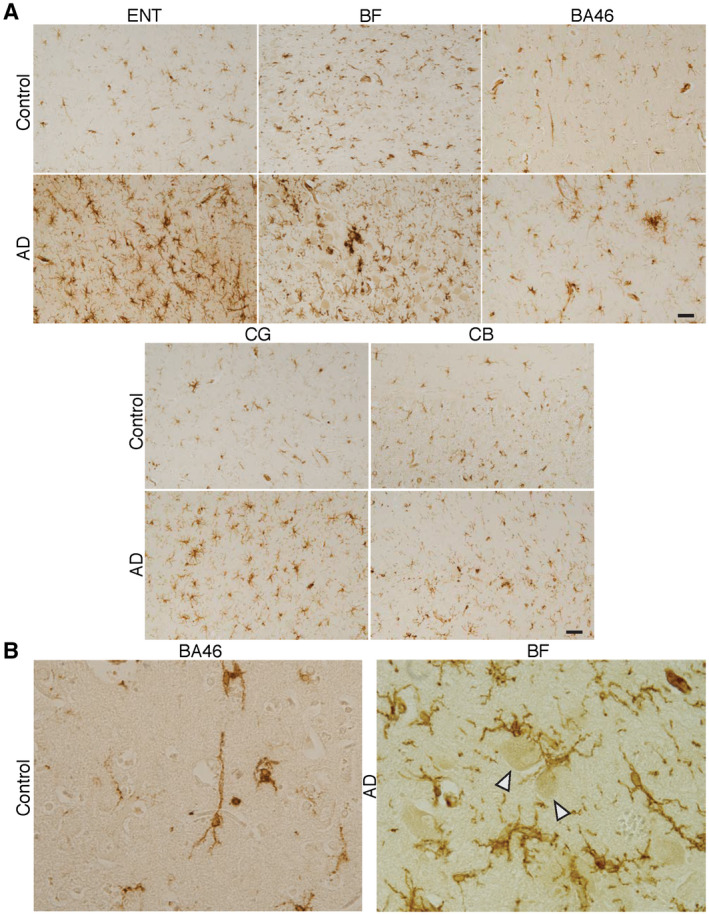 Figure 10