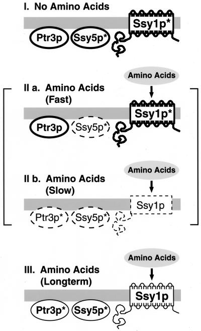 FIG. 9