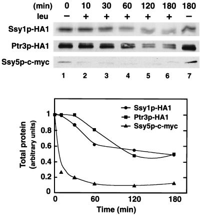 FIG. 8