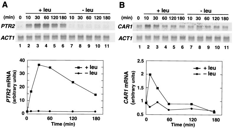 FIG. 7