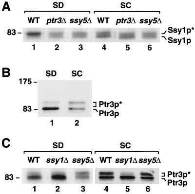 FIG. 5