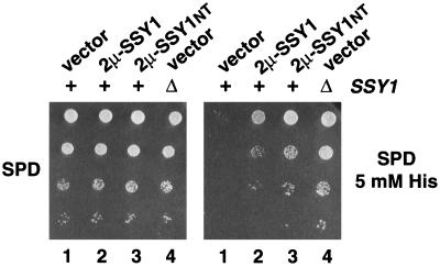 FIG. 6