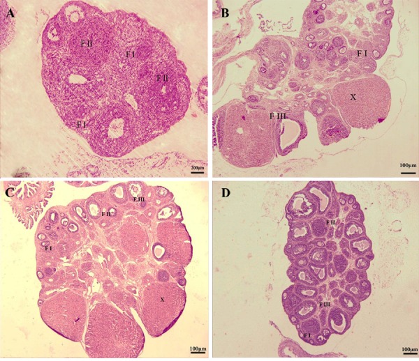 Fig.6