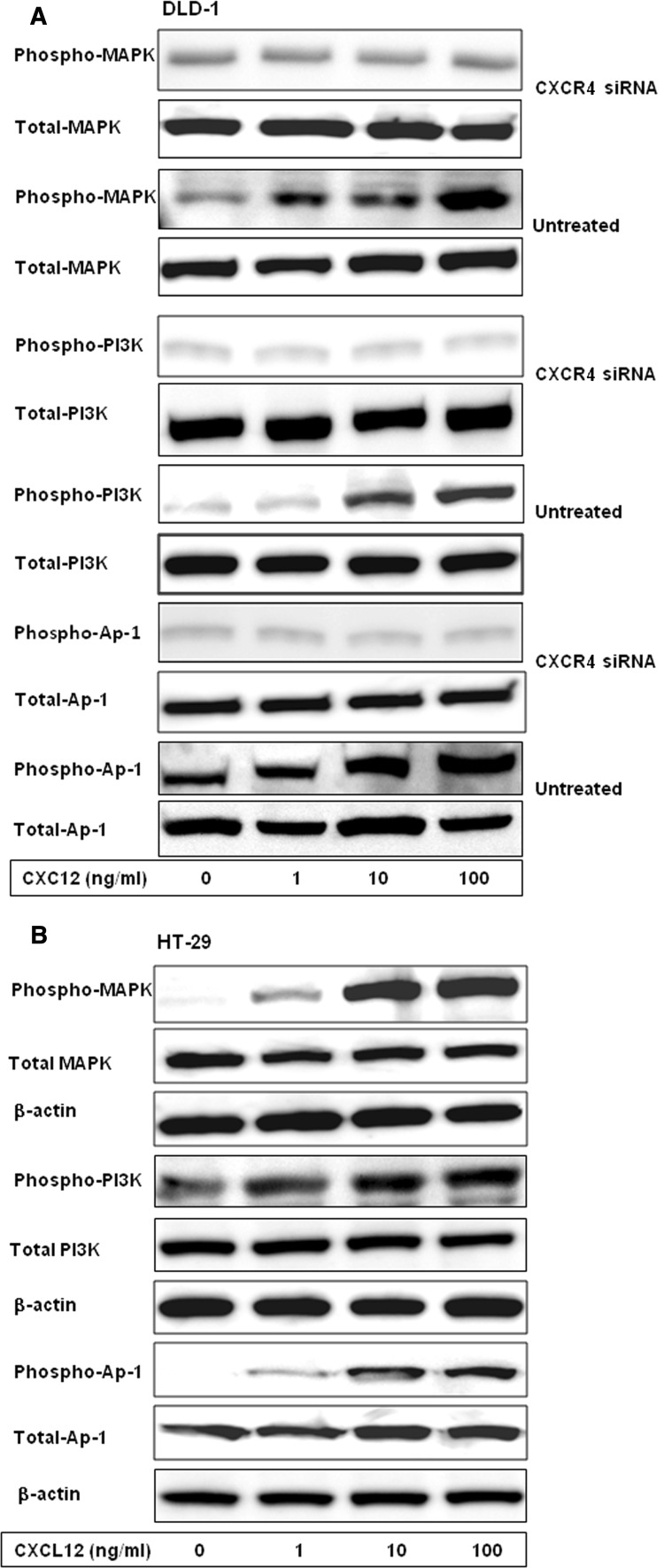 Fig. 6