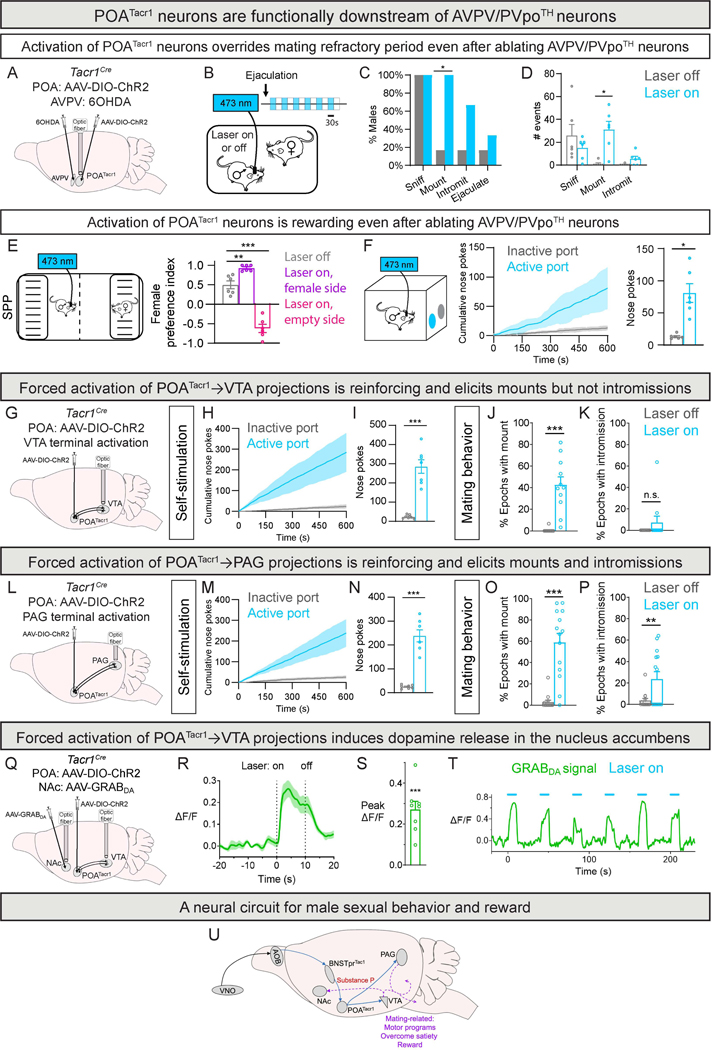 Figure 7: