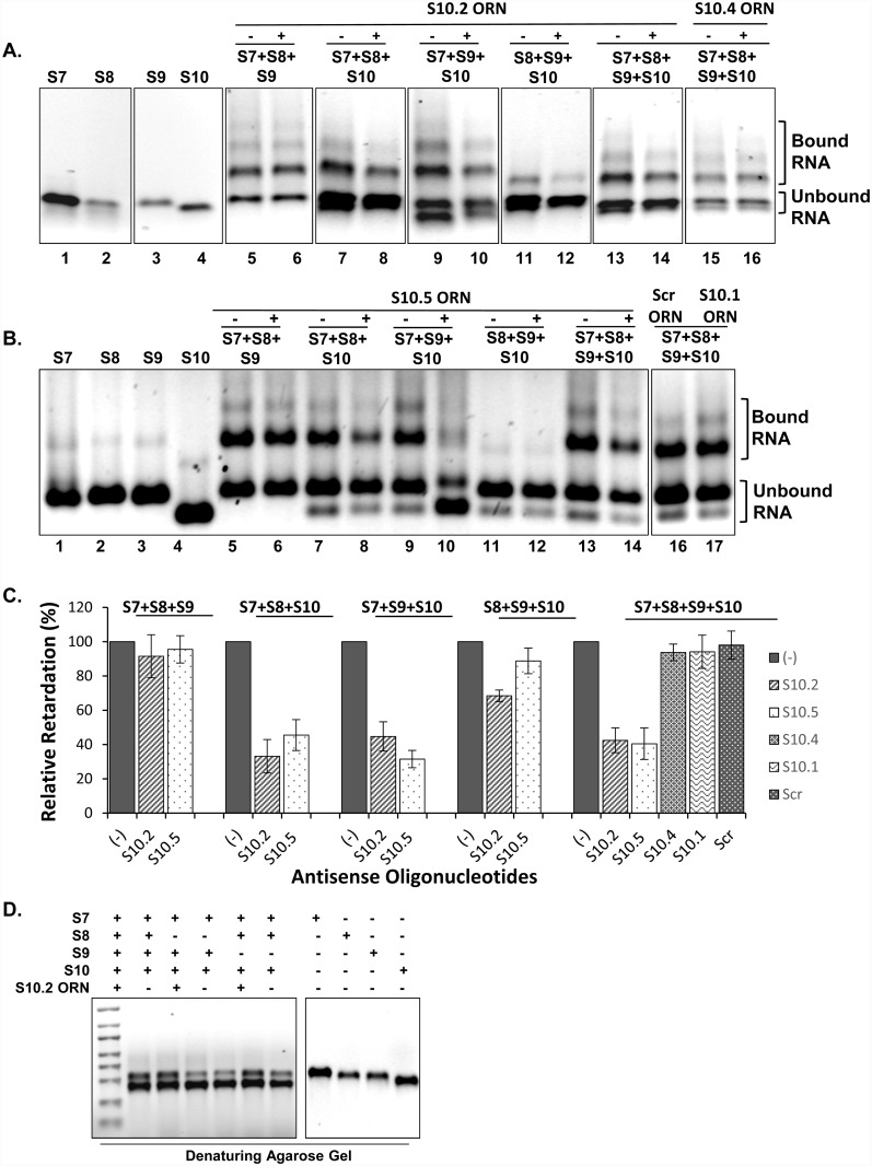 Fig 4