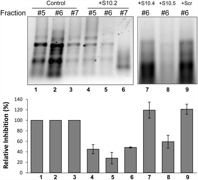 Fig 6