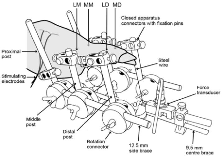 Figure 2