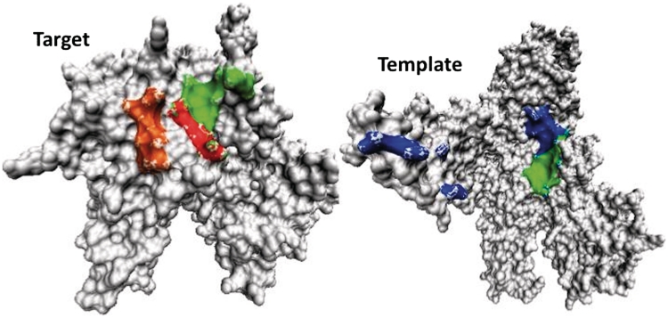 Figure 4.