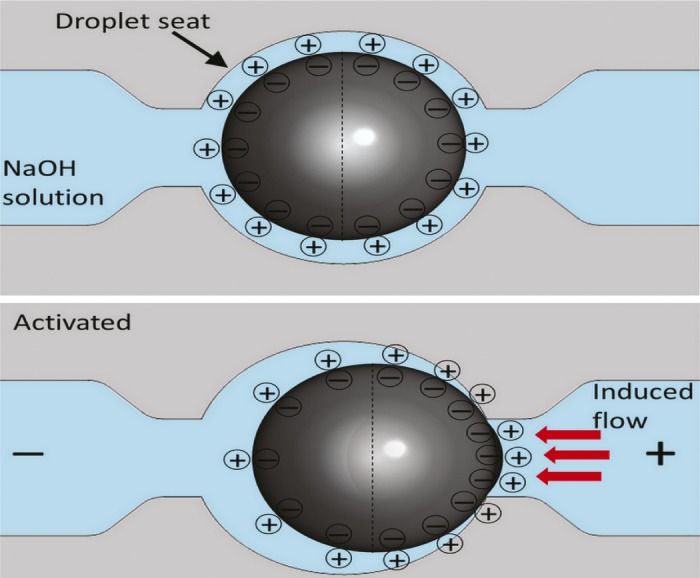 graphic file with name iti0914111unfig02.jpg